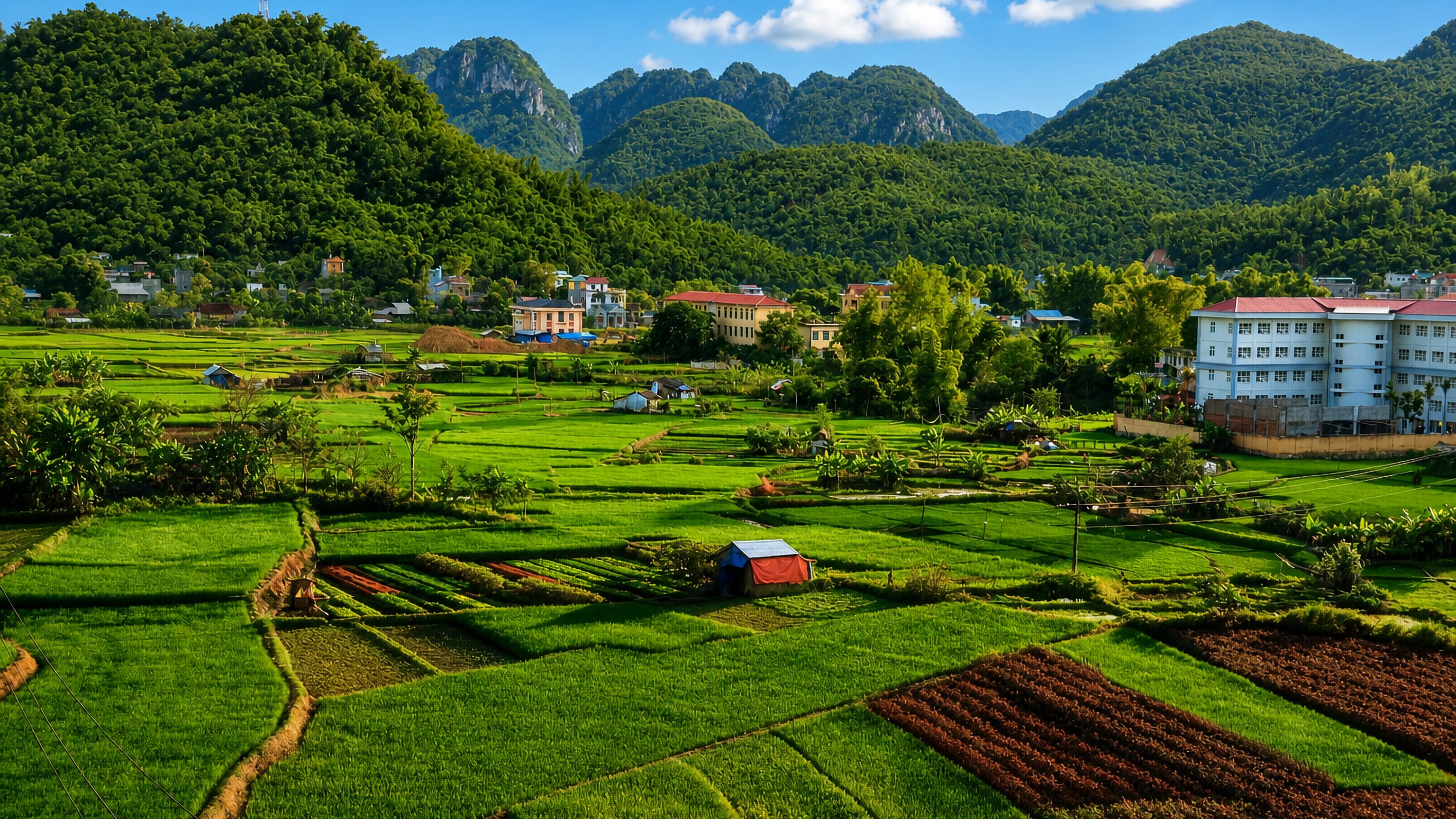 Green rice paddies and a small town beneath forested limestone peaks in Sơn La, northwestern Vietnam.