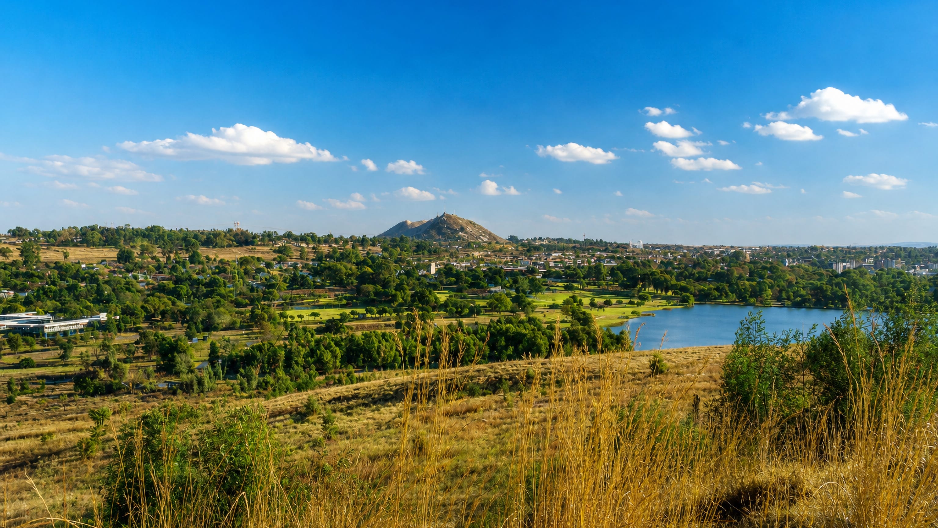 Krugersdorp's Highveld setting: a grassy ridge above a lake, wooded suburbs and a mine dump on the horizon.