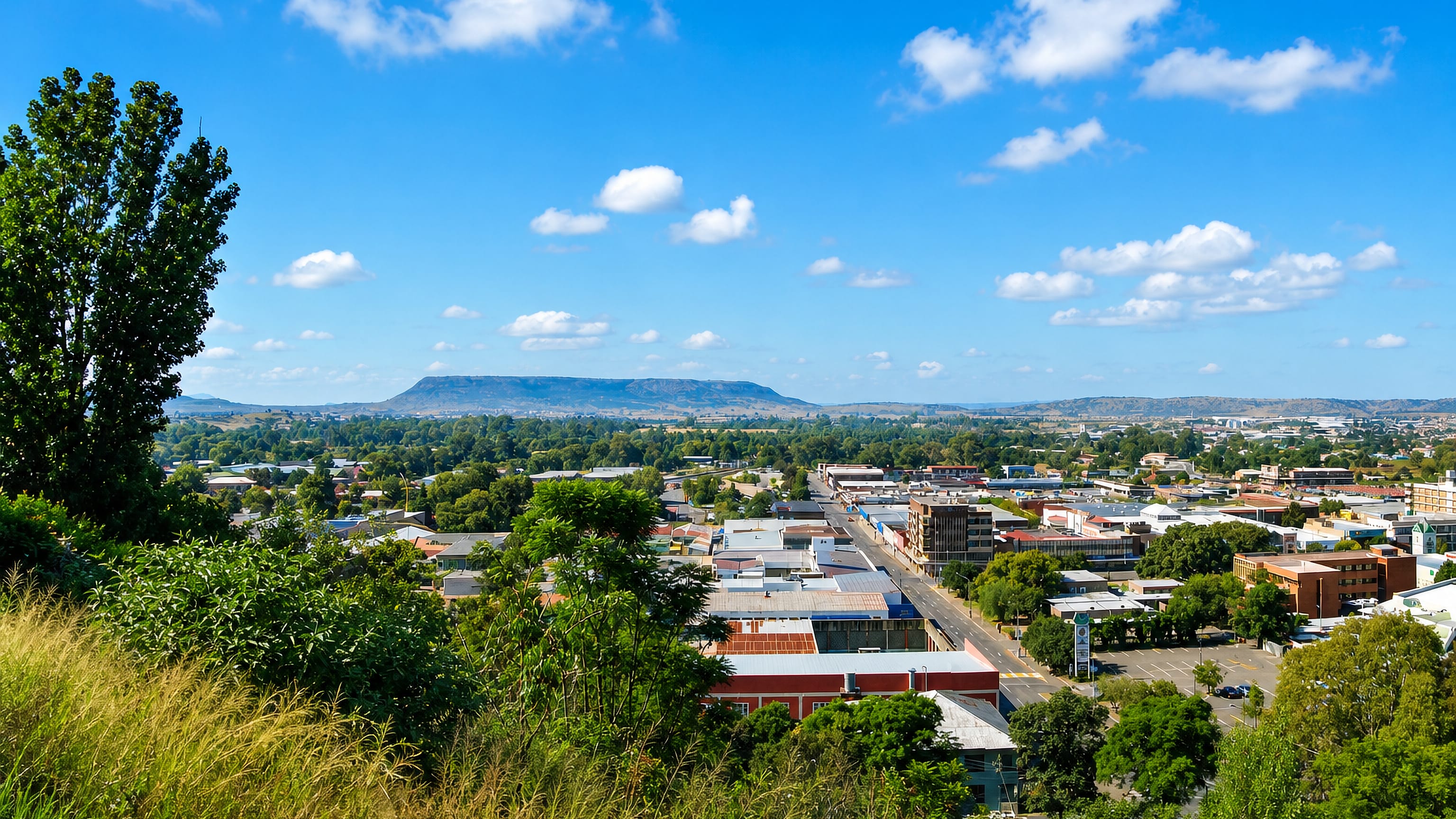 Hilltop view over Ladysmith's main street and low-rise centre, with a flat-topped ridge on the horizon