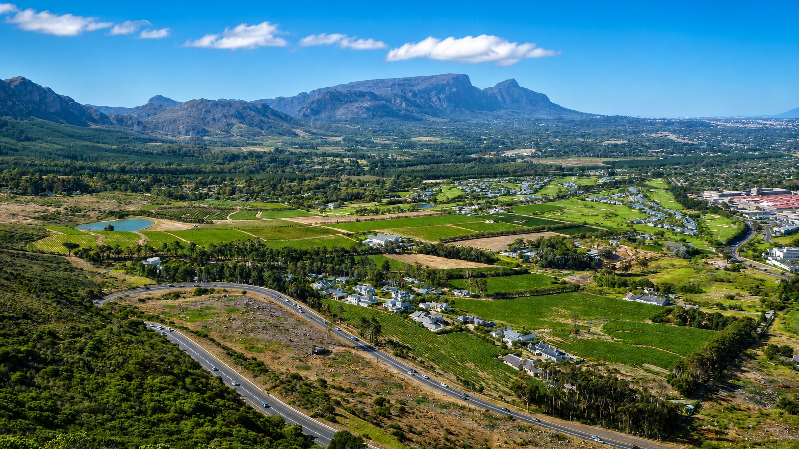 Constantia's vineyards and leafy estates in Cape Town, with the Table Mountain range rising beyond.